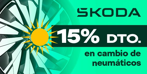 Cambio de neumáticos con un 15% Dcto. en todas las medidas y marcas Y REGALO DE CHEQUES DE TALLER