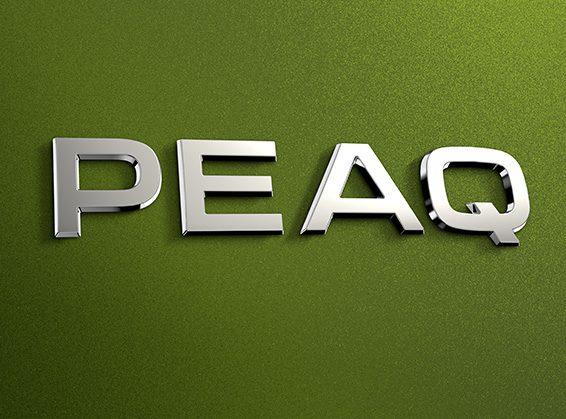 SKODA PEAQ